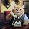 Orange Katzenkind
