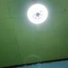 fan33187