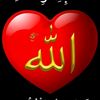user81085607329900