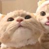 xyroo_5711