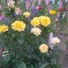 user2179192416095