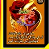shaker.hussan1