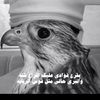 user462783558327743