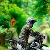 lakshith12342