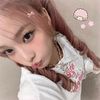 cica_naa13