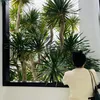 Ái Kha review