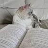 mabiblietmoi