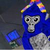 gorilatag74