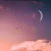 real_le0n0