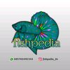fishpedia_