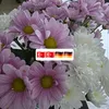 aydinli178