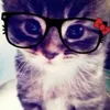 _cat.wit.da.glasses_
