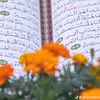 mahmeed1591