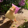 ducklliingg