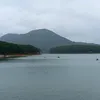 bi.nguyen966
