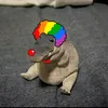 calicoircart