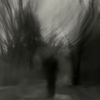 toom_284