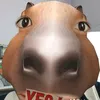 igbaorzaen0