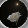 user7212181212420