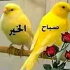 khlefaalk