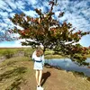 .laninha_dograw