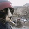 teenagedirtbag79