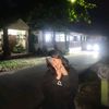 syfacf_sundae