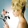 ais_berry_low