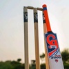 cricket7023