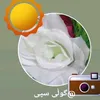 user50682049858111