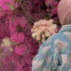 roo_ll21