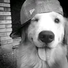 roo_hkpq