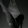 kaly...1