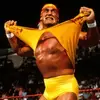 romanwwefan.reings5