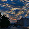 hiam0282