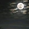 مـحـﻤـد| 1431ه‍ـ🍂