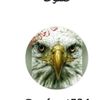 user24591846595875