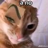 franks_pl