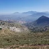 cholillo608