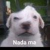 .___.2regentedemicasa