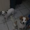 the.mckimms