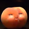 hienafigures