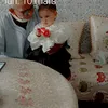 bahyani.mostafa