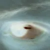 smmreq