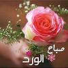 aouiedi.nouri