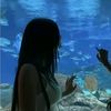lizet_493