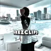 Brezscales clips