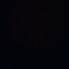 lion3l_nx7