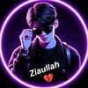 user4250773125512
