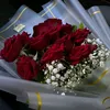 user4883700083782